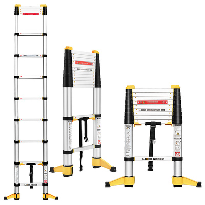 Soft close telescopic ladder