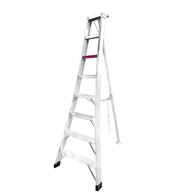 ORCHARD LADDER